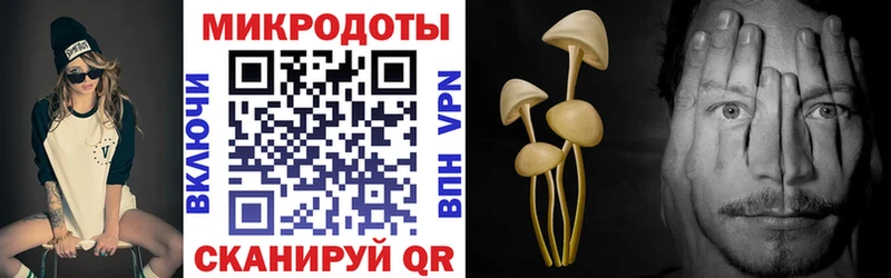 дарнет шоп  Алатырь  маркетплейс телеграм  Псилоцибиновые грибы Cubensis 